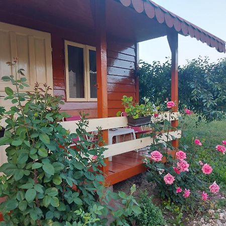 Pensiunea Raluca Mahmudia Buitenkant foto