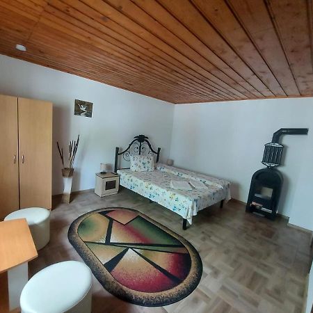 Pensiunea Raluca Mahmudia Buitenkant foto