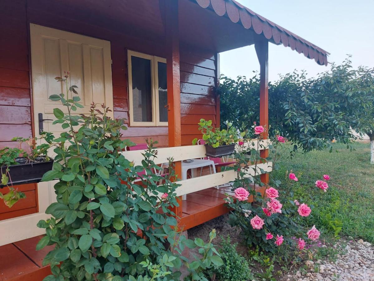 Pensiunea Raluca Mahmudia Buitenkant foto