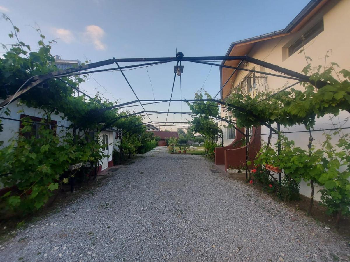 Pensiunea Raluca Mahmudia Buitenkant foto