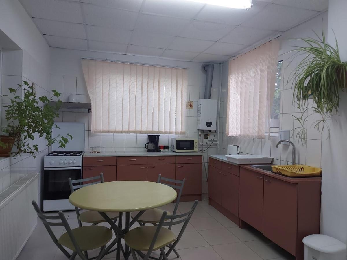 Pensiunea Raluca Mahmudia Buitenkant foto