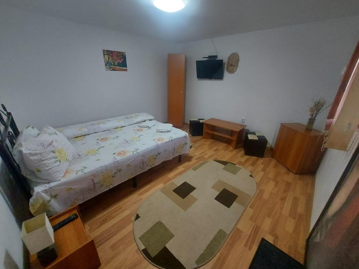 Pensiunea Raluca Mahmudia Buitenkant foto