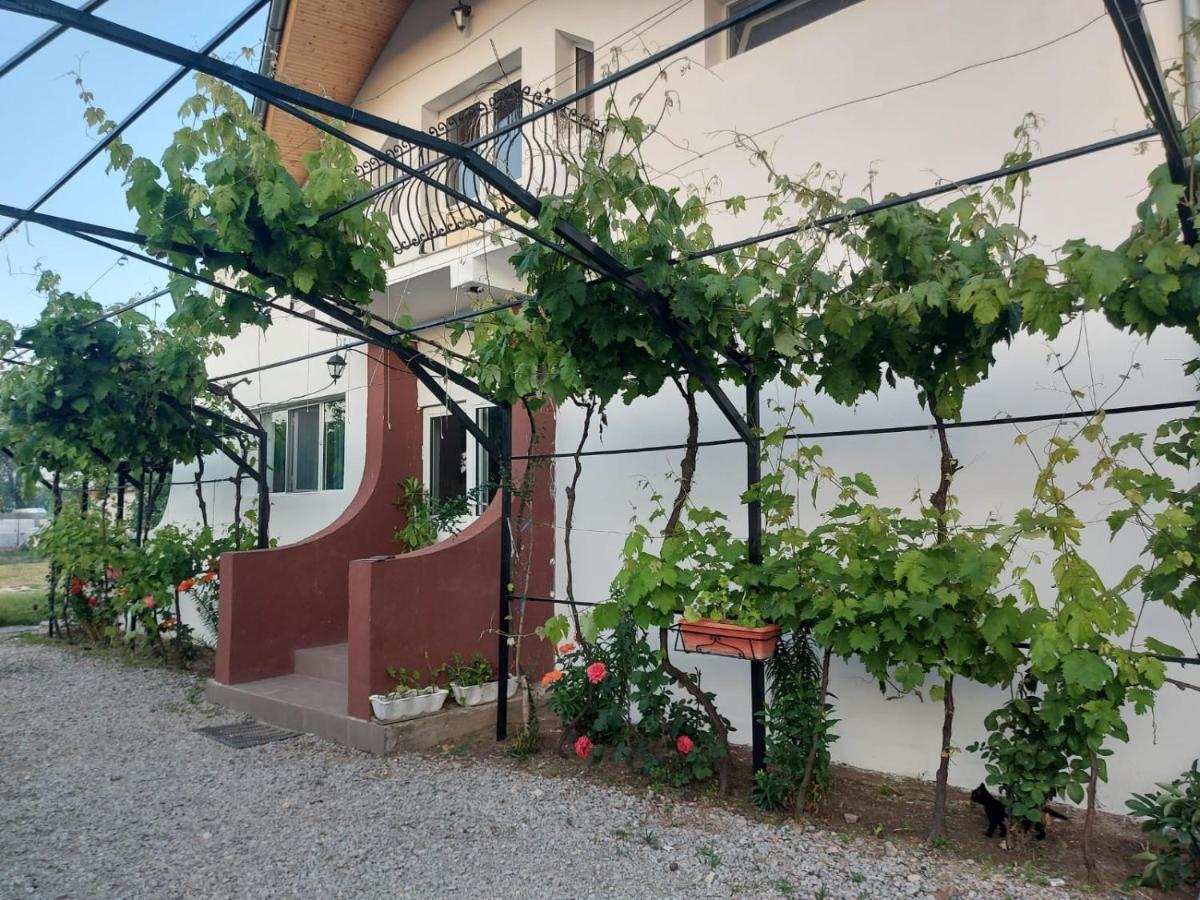 Pensiunea Raluca Mahmudia Buitenkant foto